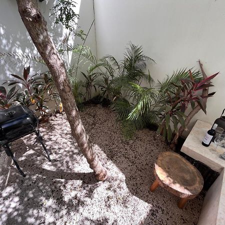 טולום Condo Jungle Apartment & Private Patio מראה חיצוני תמונה