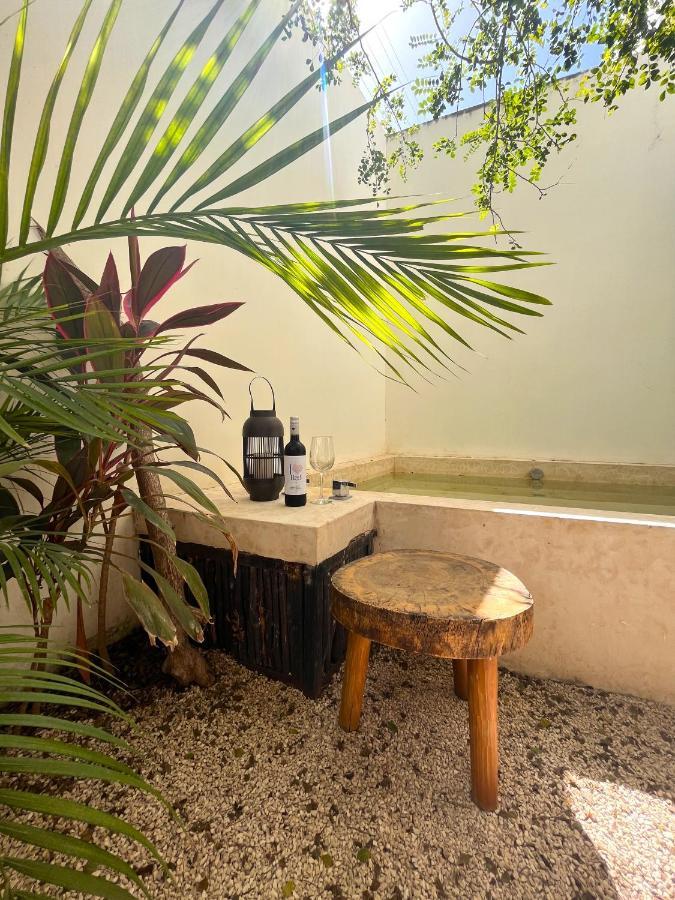 טולום Condo Jungle Apartment & Private Patio מראה חיצוני תמונה